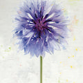 Wonderful Wildflowers X Mural Wallpaper - pure wallpaper artwork