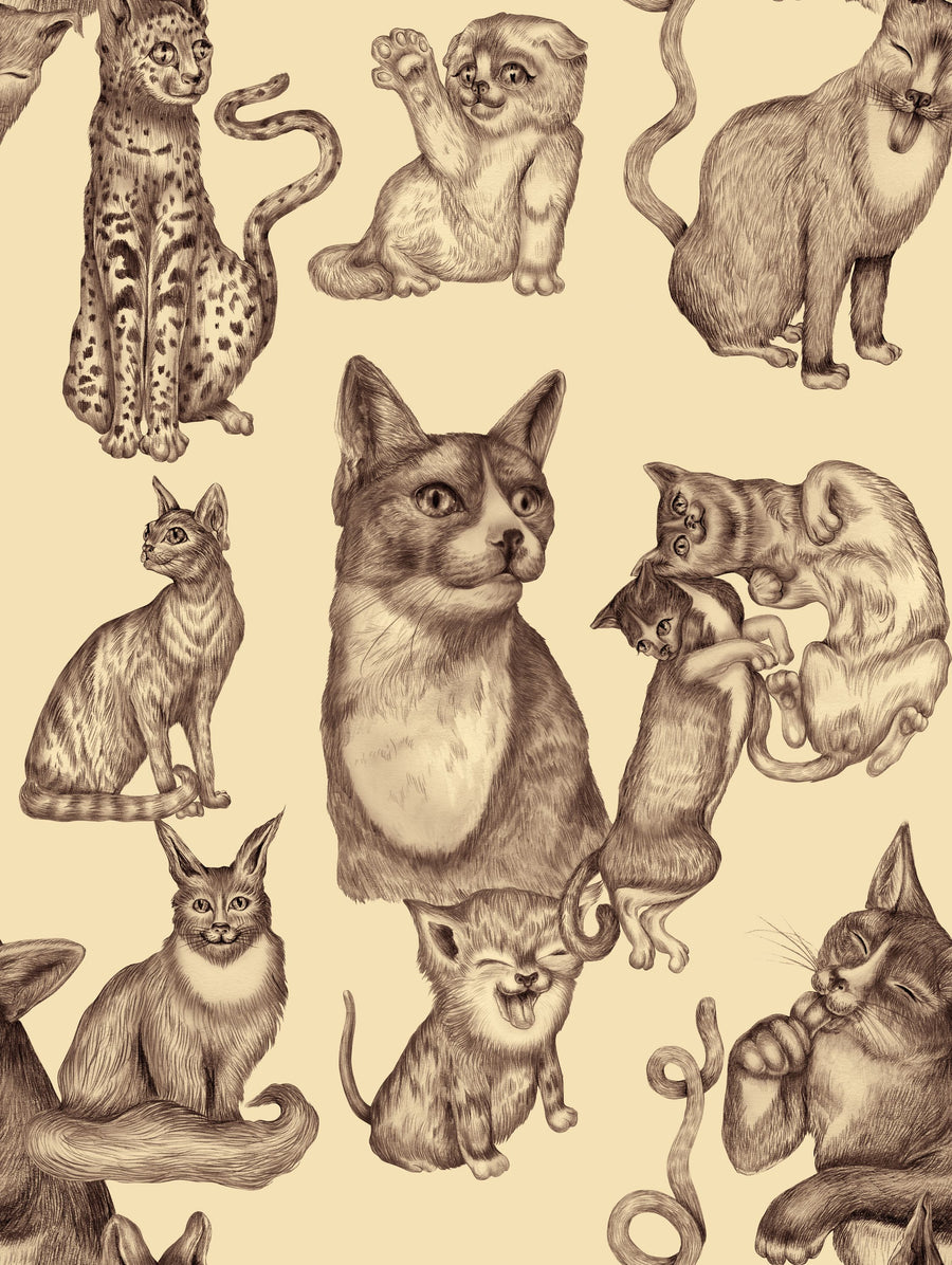 Cat Lounge, Yellow Mural Wallpaper