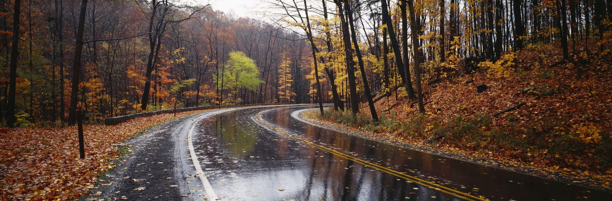 Autumn Journey Mural Wallpaper - pure wallpaper artwork