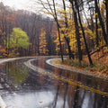 Autumn Journey Mural Wallpaper - pure wallpaper artwork