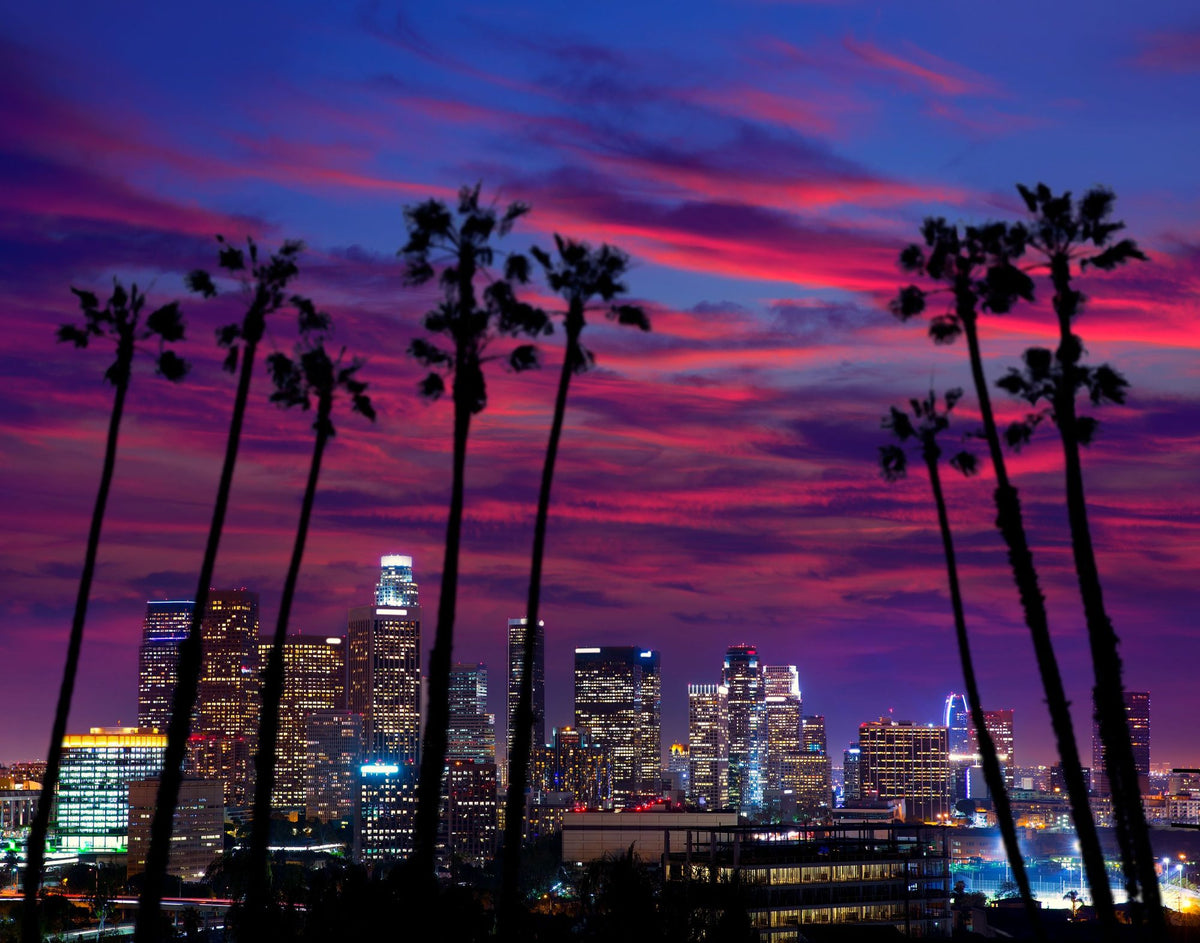 Palm Trees Downtown Mural Wallpaper - pure wallpaper artwork