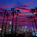 Palm Trees Downtown Mural Wallpaper - pure wallpaper artwork