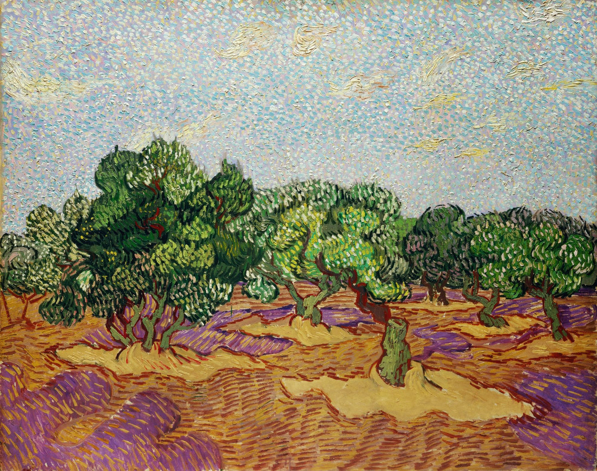 Olive Trees Mural Wallpaper - pure wallpaper artwork