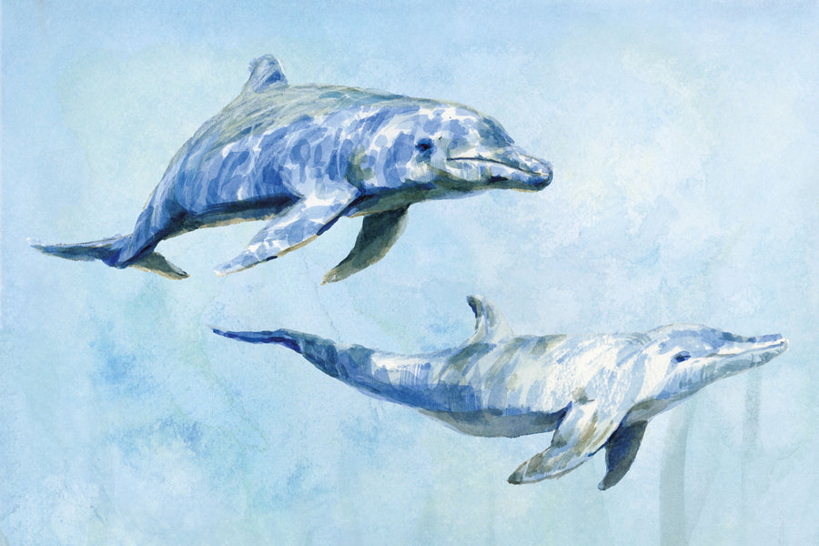 Graceful Dolphins I Mural Wallpaper