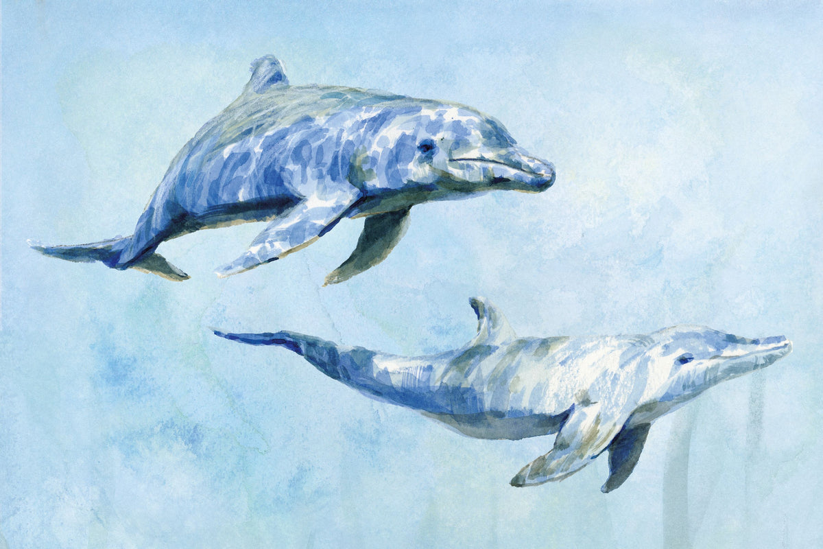 Graceful Dolphins I Mural Wallpaper - pure wallpaper artwork