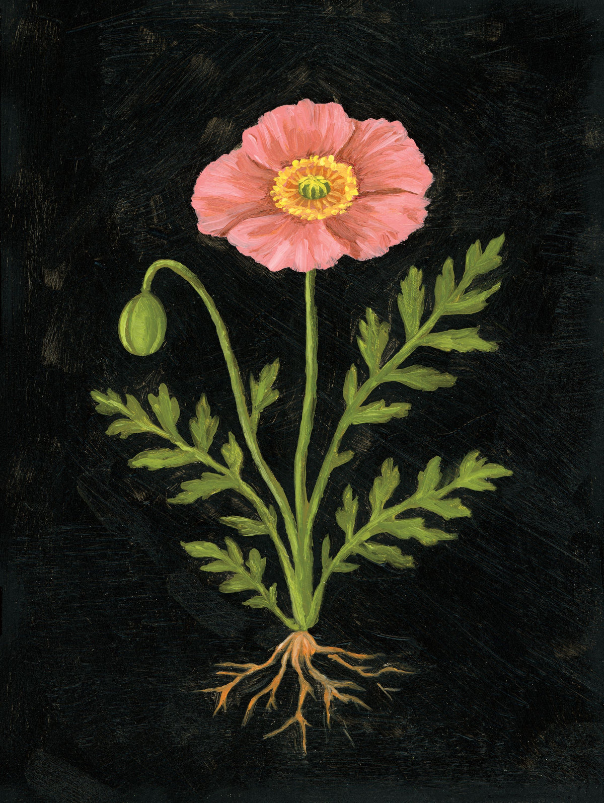 Vintage Poppy Mural Wallpaper - pure wallpaper artwork