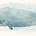 Sea Life V Mural Wallpaper - pure wallpaper artwork