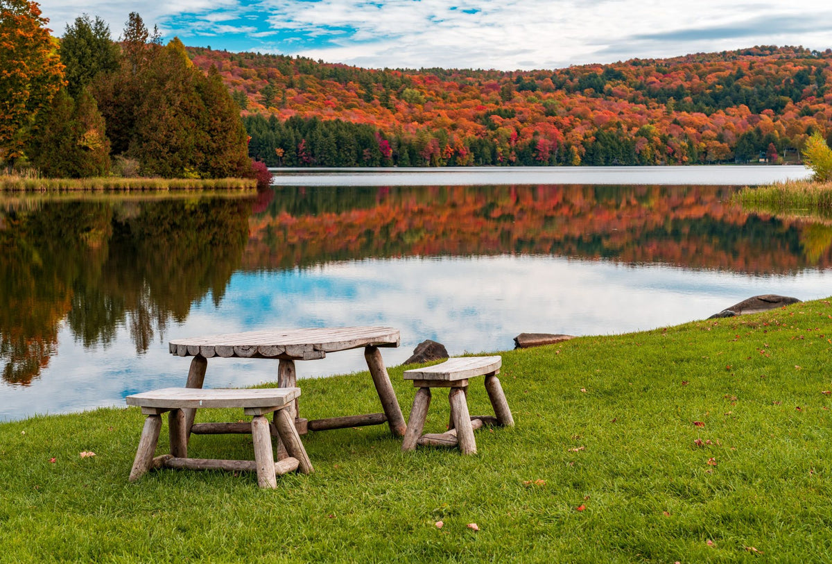 Vermont Fall Mural Wallpaper - pure wallpaper artwork