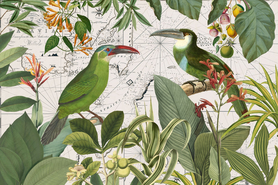 Parrots Nostalgic Journey III Mural Wallpaper