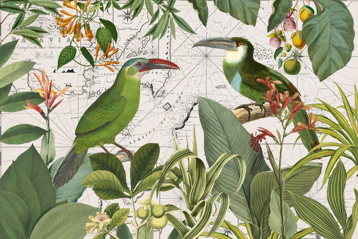 Parrots Nostalgic Journey III Mural Wallpaper - pure wallpaper artwork