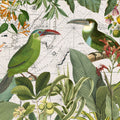 Parrots Nostalgic Journey III Mural Wallpaper - pure wallpaper artwork
