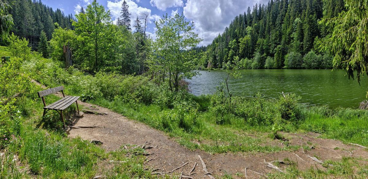 Lakeside Serenity Mural Wallpaper - pure wallpaper artwork