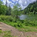 Lakeside Serenity Mural Wallpaper - pure wallpaper artwork