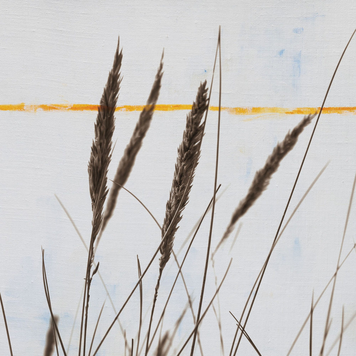 Sea Grass I Mural Wallpaper - pure wallpaper artwork