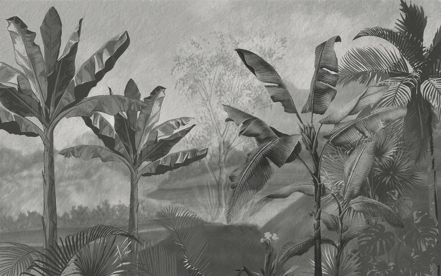 Botanical Wallpaper Mural – Leaf & Plant Wall Mural – Tropical Banan Plant Sketch printable artwork