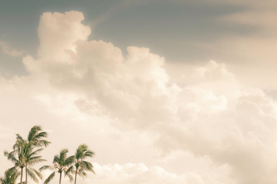 Lone Bird Mural Wallpaper