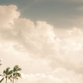 Lone Bird Mural Wallpaper - pure wallpaper artwork