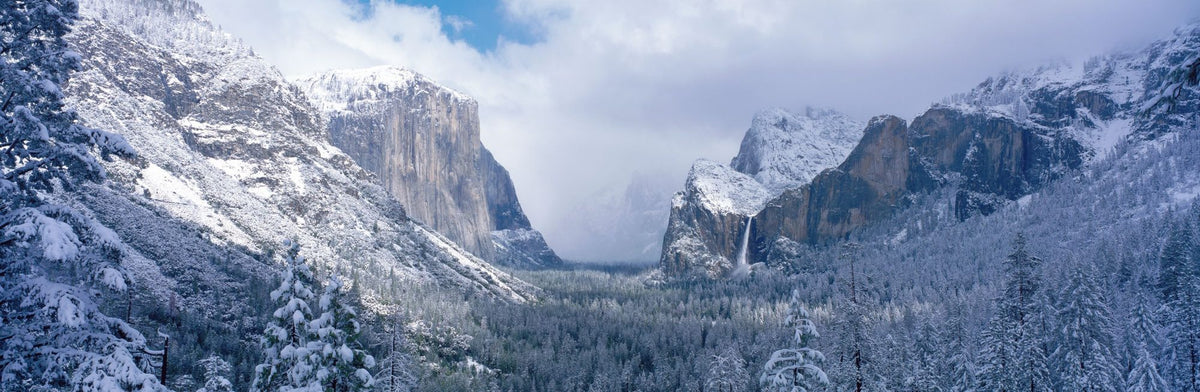 Yosemite Winter Mural Wallpaper - pure wallpaper artwork