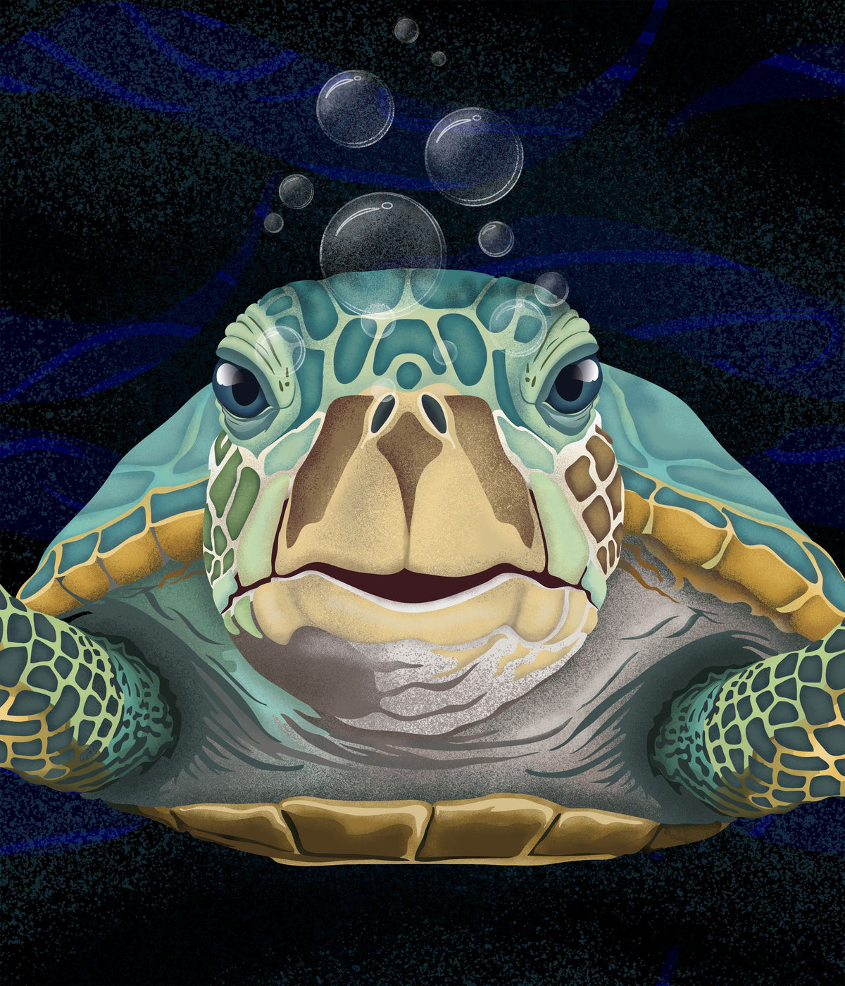 Hello Turtle, Midnight Mural Wallpaper - pure wallpaper artwork