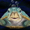 Hello Turtle, Midnight Mural Wallpaper - pure wallpaper artwork