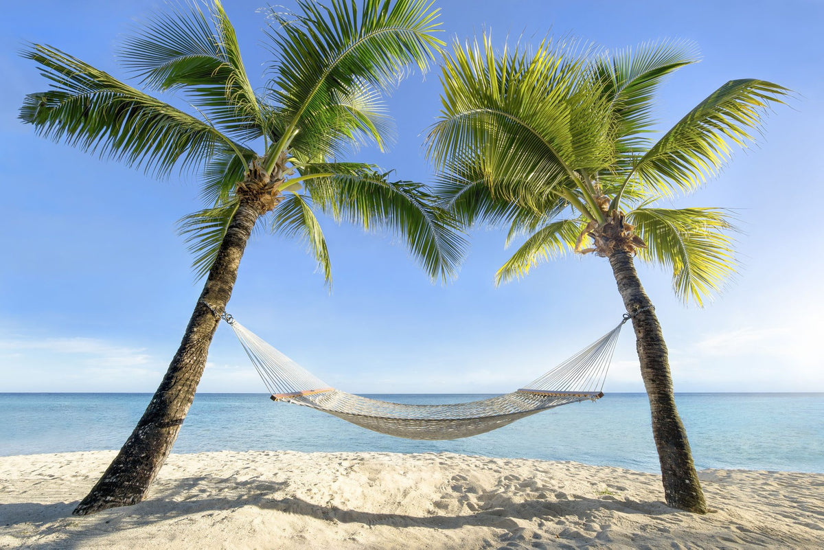 Hammock Beach Mural Wallpaper - pure wallpaper artwork