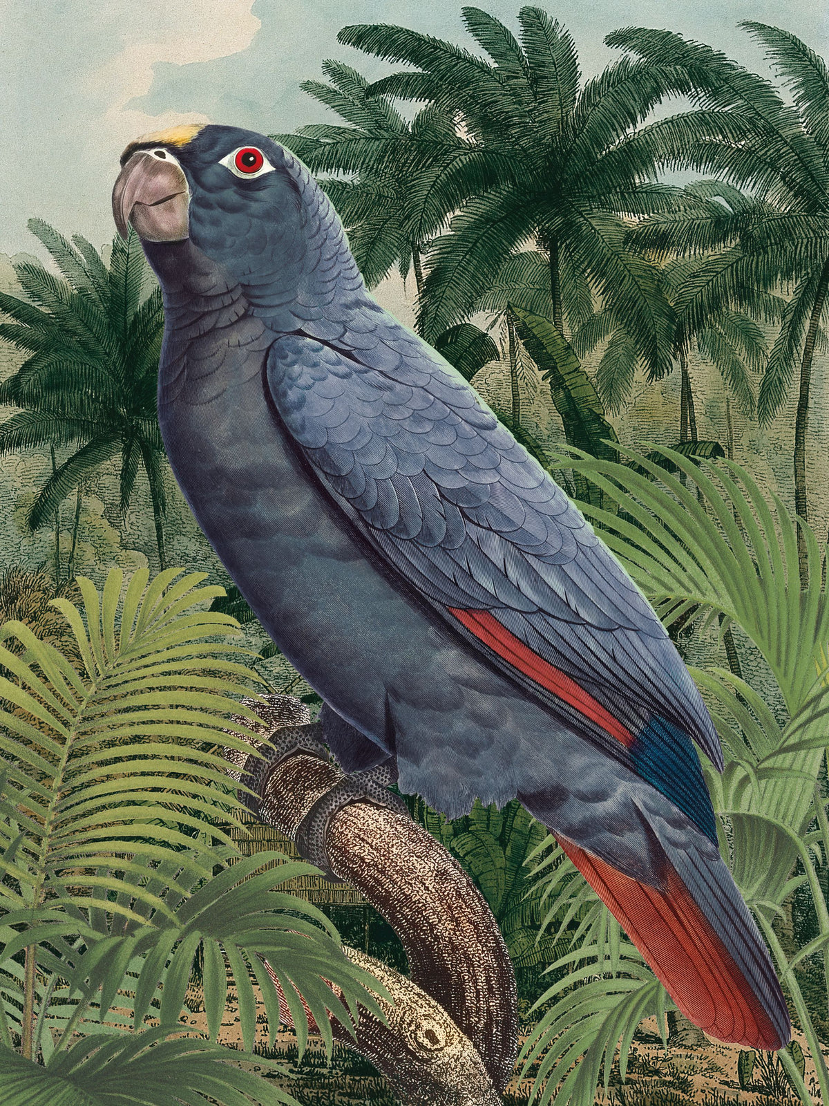 Jungle Parrot II Blue Mural Wallpaper - pure wallpaper artwork
