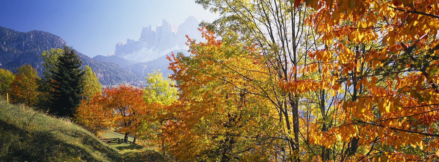 Autumn Mountain Glow Mural Wallpaper