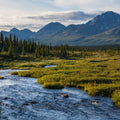 Lets Go Fishing Mural Wallpaper - Neutral Tone - pure wallpaper artwork
