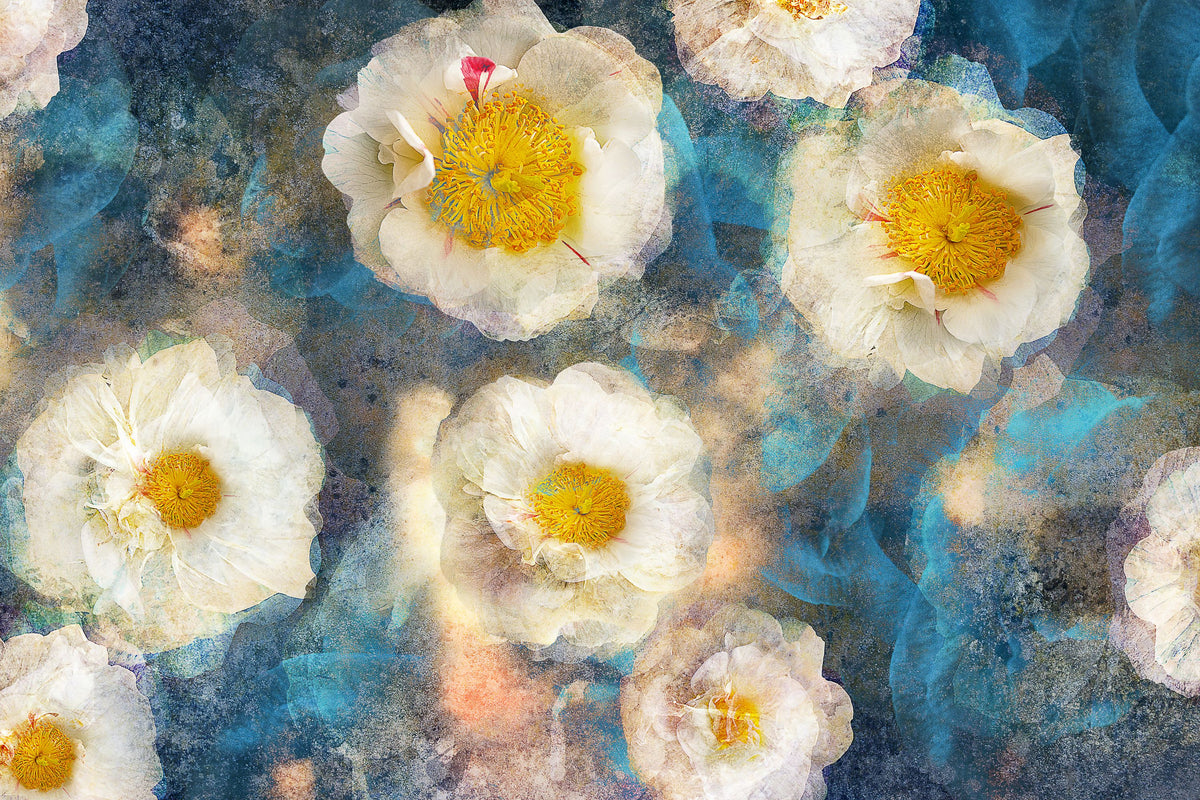 Camellia Blossoms Mural Wallpaper - pure wallpaper artwork