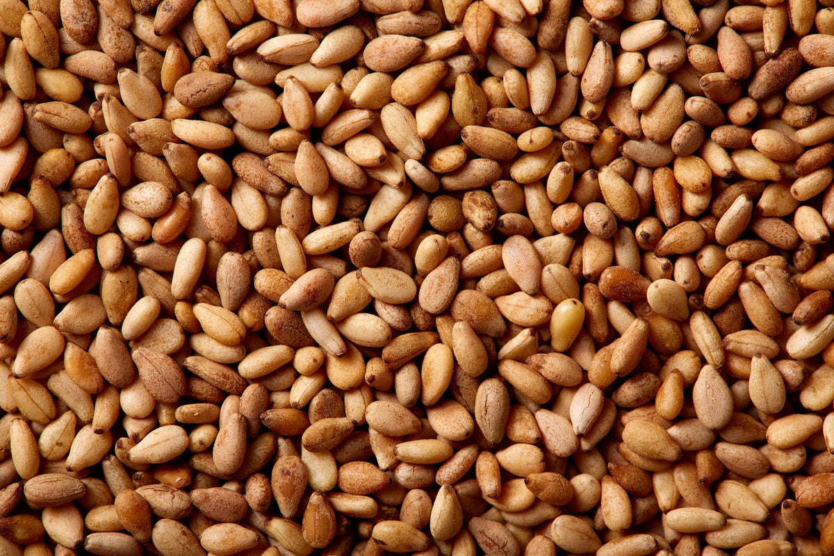 Pine Nut Harvest Mural Wallpaper - pure wallpaper artwork