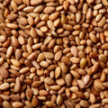 Pine Nut Harvest Mural Wallpaper - pure wallpaper artwork
