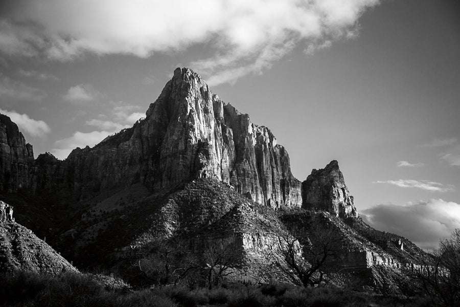 The Watchman Mural Wallpaper