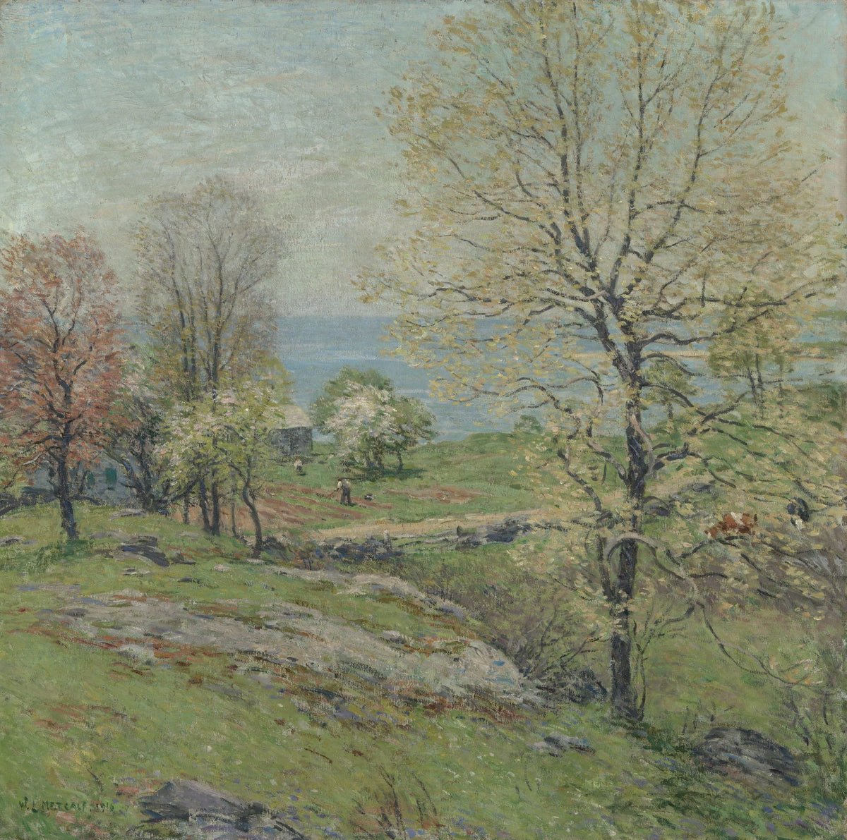 The Budding Oak Mural Wallpaper - pure wallpaper artwork
