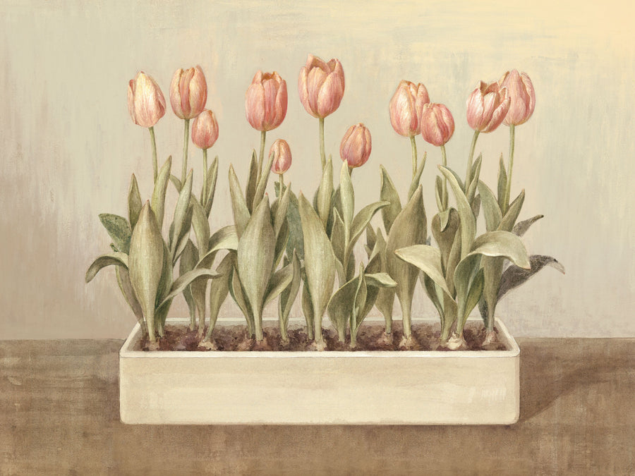 Tulip Friends I Mural Wallpaper