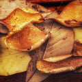 Autumn Mood Mural Wallpaper - pure wallpaper artwork