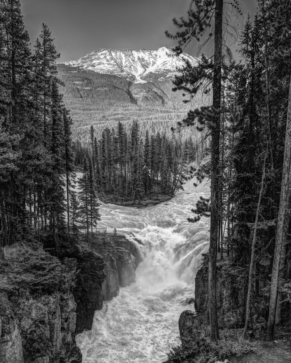 Sunwapta Falls BW Mural Wallpaper - pure wallpaper artwork