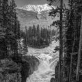 Sunwapta Falls BW Mural Wallpaper - pure wallpaper artwork