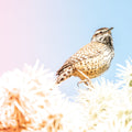 Desert Song Mural Wallpaper - pure wallpaper artwork