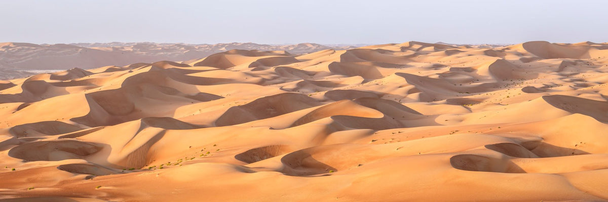Dune Panorama Mural Wallpaper - pure wallpaper artwork