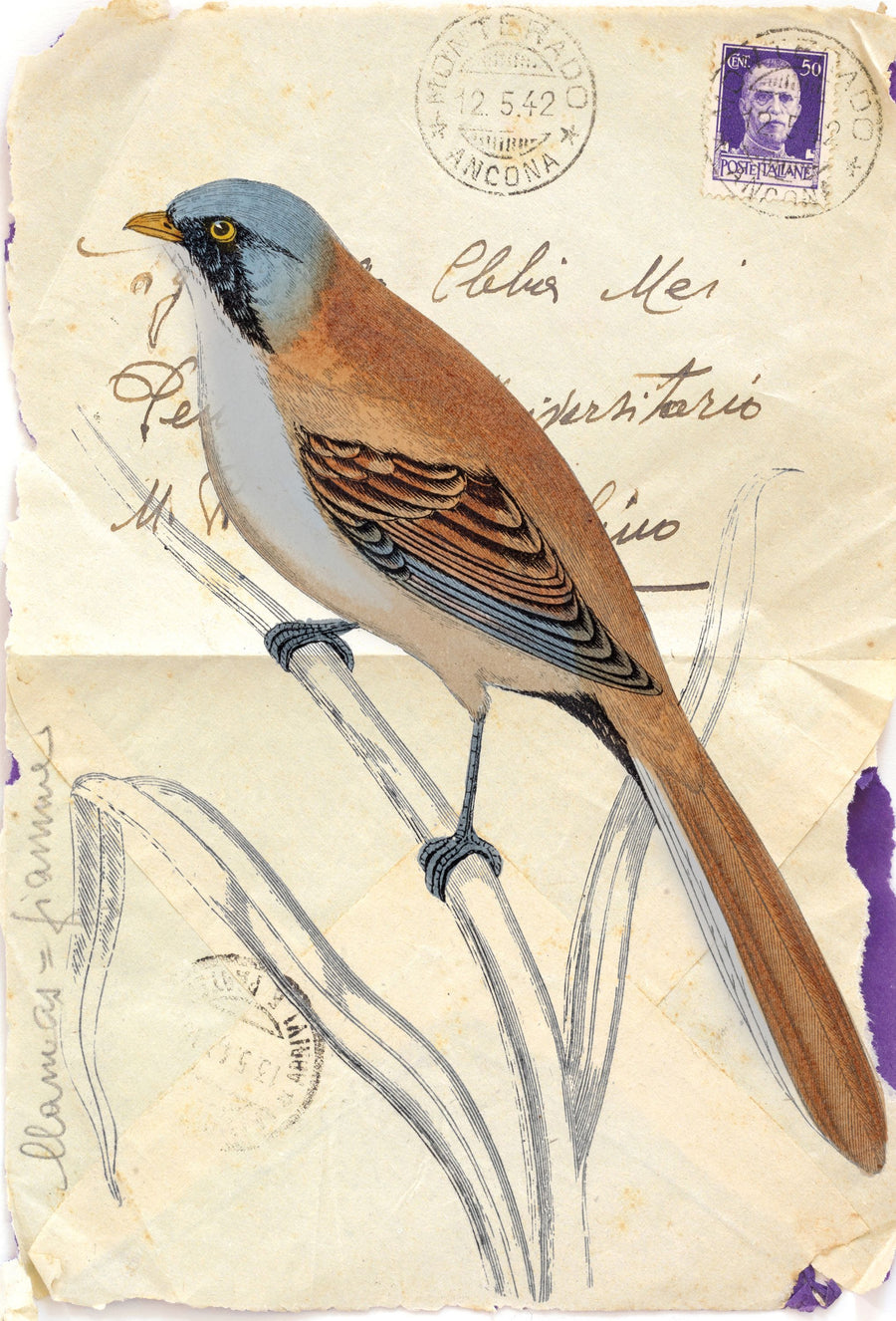 Bearded Tit Mural Wallpaper