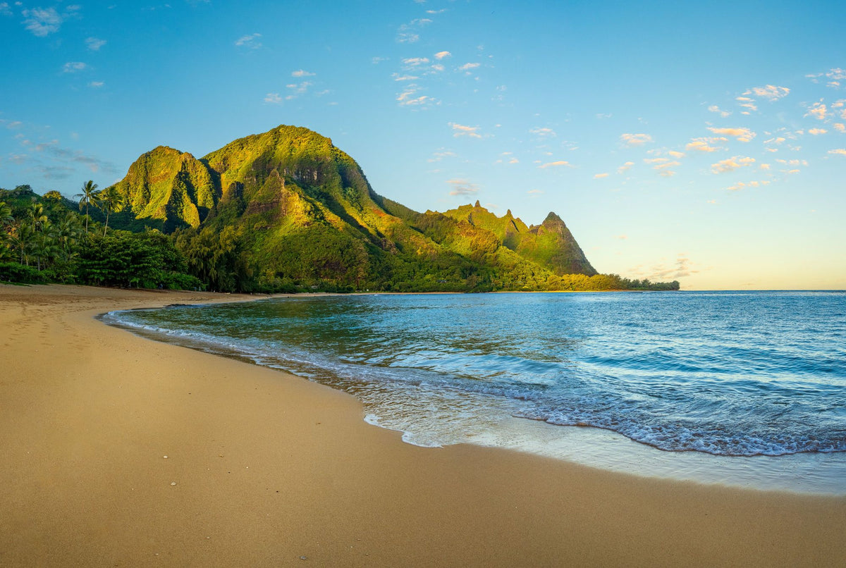 Early Beach Morning Mural Wallpaper - pure wallpaper artwork