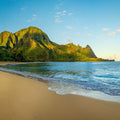 Early Beach Morning Mural Wallpaper - pure wallpaper artwork