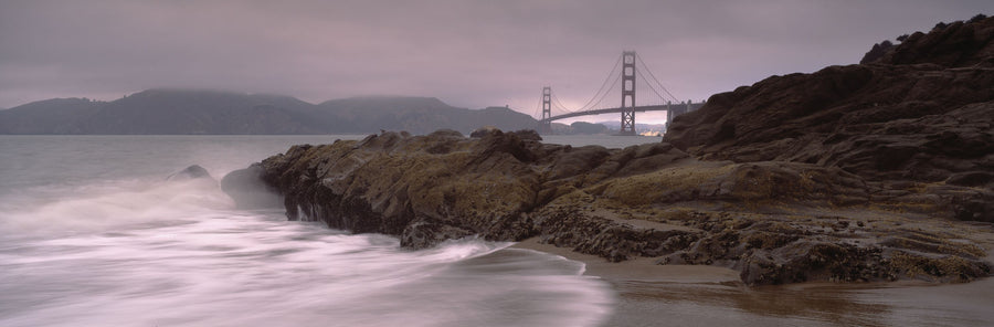 Misty Harbor Bridge Mural Wallpaper