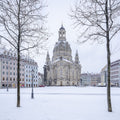 Baroque Winter Mural Wallpaper - pure wallpaper artwork