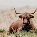 Meadow Guardian III Mural Wallpaper - pure wallpaper artwork