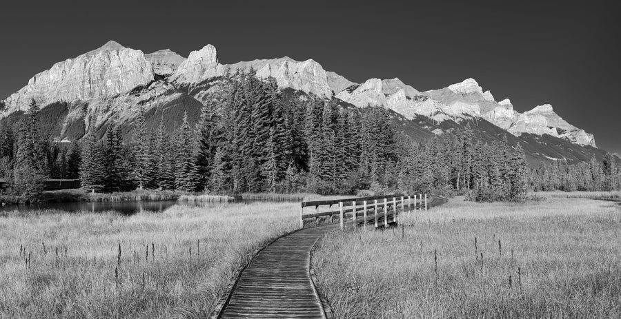 Policeman Creek Boardwalk Mural Wallpaper