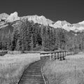 Policeman Creek Boardwalk Mural Wallpaper - pure wallpaper artwork