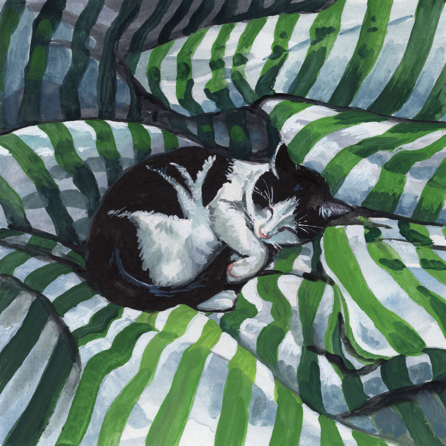 Tuxedo Cat Nap Mural Wallpaper