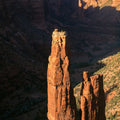 Desert Sentinels Mural Wallpaper - pure wallpaper artwork