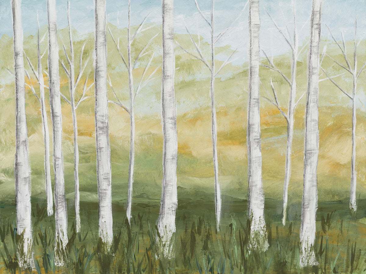 Birch Forest Mural Wallpaper - pure wallpaper artwork